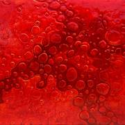 Capillaria_card