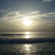 Dsc02388_card