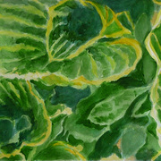 Hostas_card