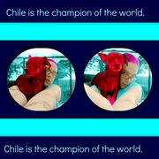 Championpicmonkey_collage_card