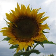 Img_0541_card