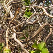 Img_2849_card