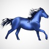 Horse_thumb