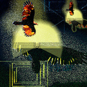 Vulture_300px_card