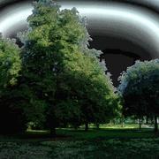 Sam_7516_card