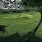 Ion_card
