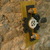 Ghiaun_ed_pannelli_a_borgone_026_tiny_square