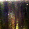 In_the_fog_thumb
