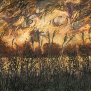 Burza1_card