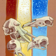 Skulls_card