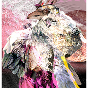 Raven_6_card