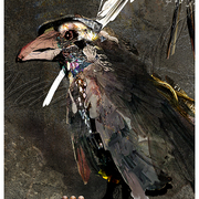 Raven_8_card