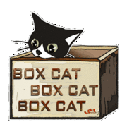 Boxcattest_card