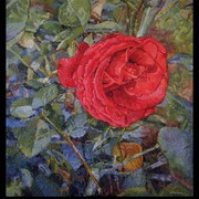 92b_card