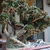 Dsc09516_tiny_square