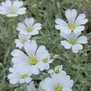 Img_5698_card