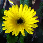 Img_5190_card