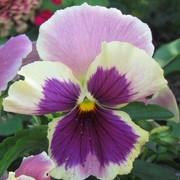 Img_8993_card