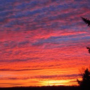Img_9539_card