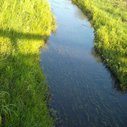 6-15-07_creek__card