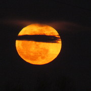 S_moon_img_5354_card