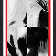 A_abstract_rhr_paint_horse_bw_1_card