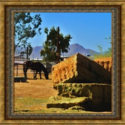 H_dscn8040_rhr_hay_horse_wc_dla_card