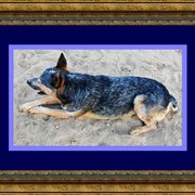 H_dscn7427_rhr_jake_frm33-11-88_dla_card