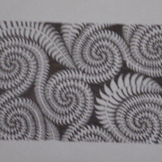 Drews_kauranga_valley_camp___art_pics_1996-2011_058_card