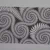 Drews_kauranga_valley_camp___art_pics_1996-2011_058_thumb