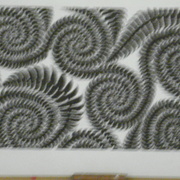 Drews_kauranga_valley_camp___art_pics_1996-2011_061_card
