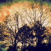 Dscf4643-1_card
