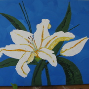 Img_2726_card