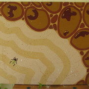 Img_2735_card