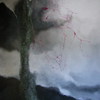 Dscf4132_thumb