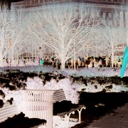Just_us_and_family_183_card