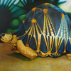 Tortoise1_thumb