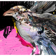 Raven_11_card
