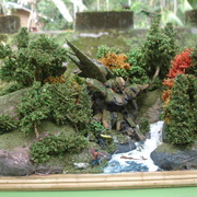 Dsc00089_card