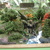 Dsc00089_tiny_square