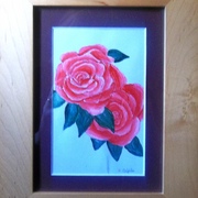 100_0833_card