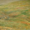 Slaidburn_thumb