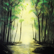 Light_thru_a_forest_card