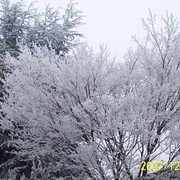 Bild_002_card