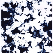Ghosts_card