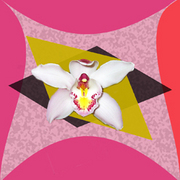 New_white_and_pink_copy_card