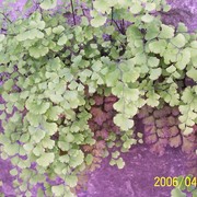 Bild_057_card