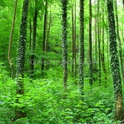 Img_3449_card