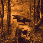 Forest_card