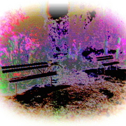 Dsc06697_card